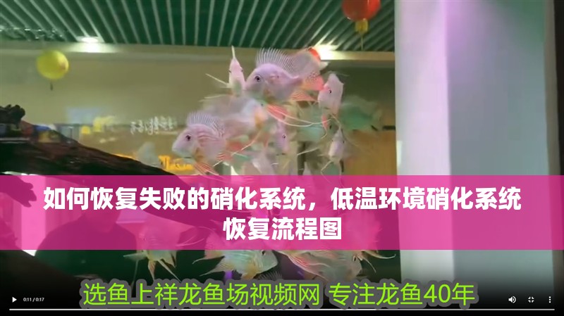 如何恢復失敗的硝化系統,低溫環境硝化系統恢復流程圖