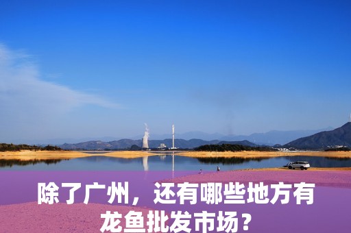 除了廣州,還有哪些地方有龍魚批發市場?