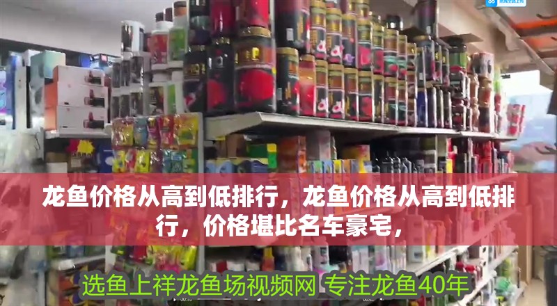 龍魚價格從高到低排行，龍魚價格從高到低排行，價格堪比名車豪宅，