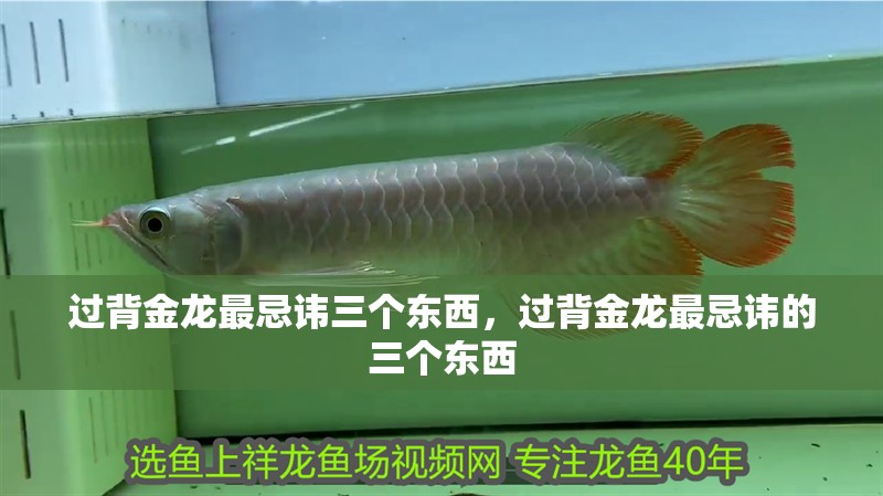 過背金龍最忌諱三個東西，過背金龍最忌諱的三個東西