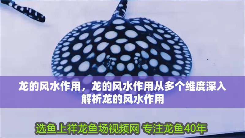 龍的風水作用,龍的風水作用從多個維度深入解析龍的風水作用