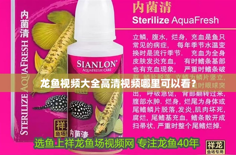 龍魚視頻大全高清視頻哪里可以看？