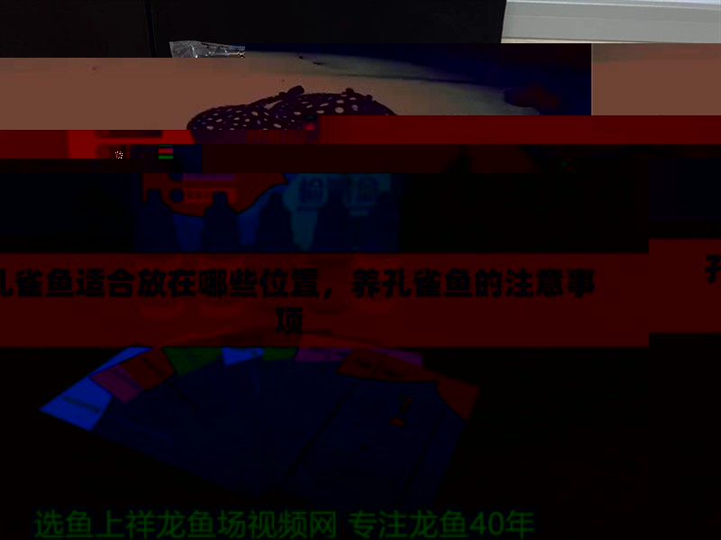 孔雀魚適合放在哪些位置，養(yǎng)孔雀魚的注意事項(xiàng)