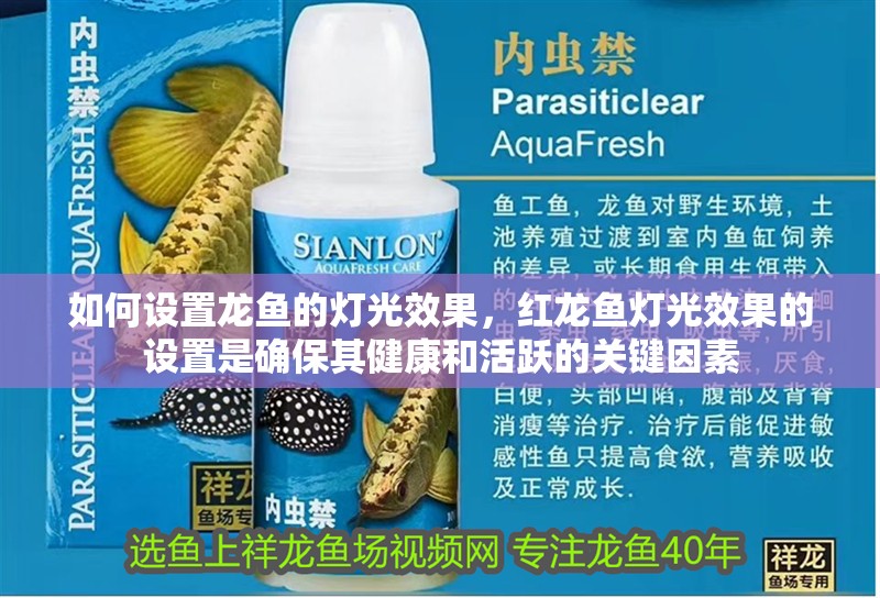 如何設(shè)置龍魚的燈光效果，紅龍魚燈光效果的設(shè)置是確保其健康和活躍的關(guān)鍵因素