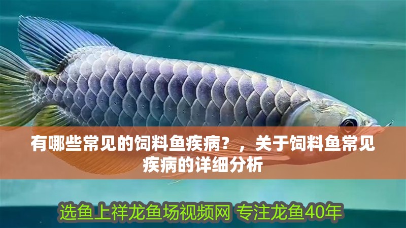 有哪些常見的飼料魚疾病？，關于飼料魚常見疾病的詳細分析