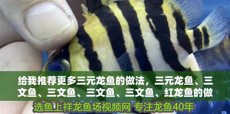 給我推薦更多三元龍魚的做法，三元龍魚、三文魚、三文魚、三文魚、三文魚、紅龍魚的做法