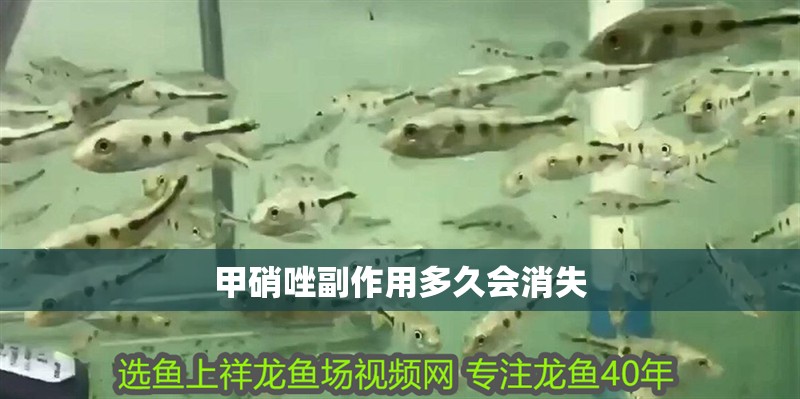 甲硝唑副作用多久會消失