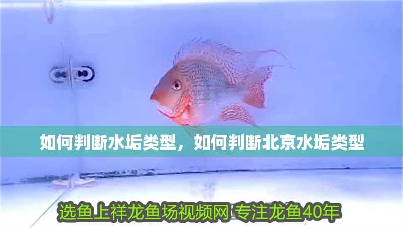 如何判斷水垢類型，如何判斷北京水垢類型