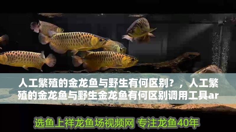 人工繁殖的金龍魚與野生有何區(qū)別？，人工繁殖的金龍魚與野生金龍魚有何區(qū)別調(diào)用工具arxiv論文助手