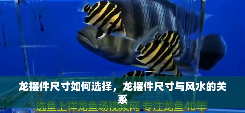 龍擺件尺寸如何選擇，龍擺件尺寸與風水的關(guān)系