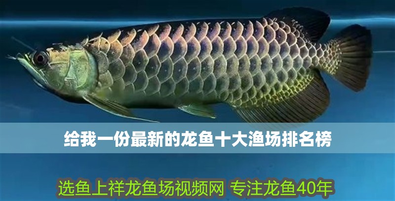 給我一份最新的龍魚十大漁場排名榜