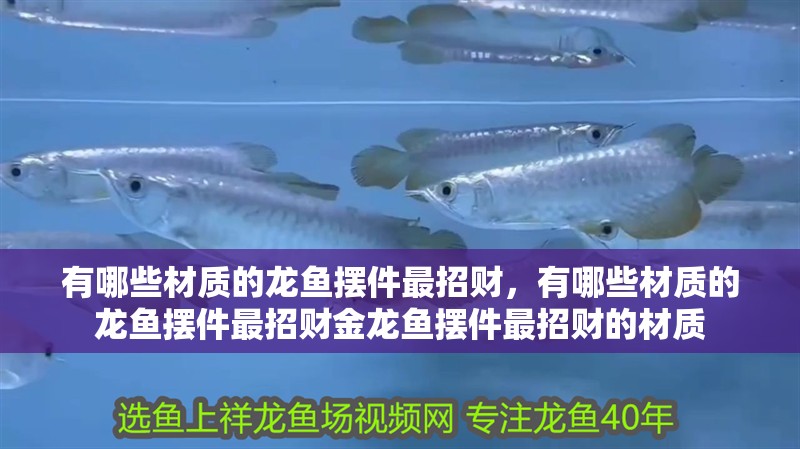 有哪些材質的龍魚擺件最招財，有哪些材質的龍魚擺件最招財金龍魚擺件最招財的材質
