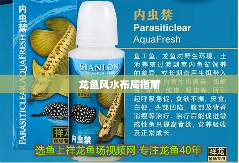龍魚風水布局指南