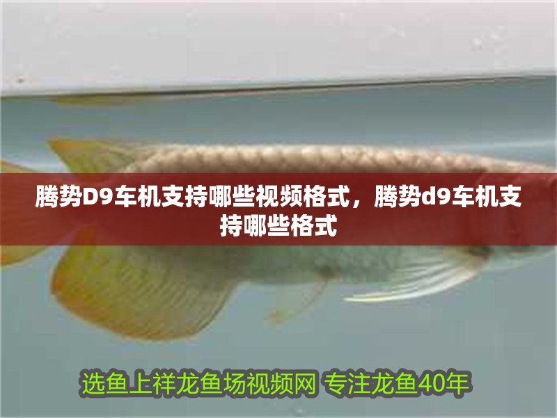 騰勢(shì)D9車(chē)機(jī)支持哪些視頻格式，騰勢(shì)d9車(chē)機(jī)支持哪些格式