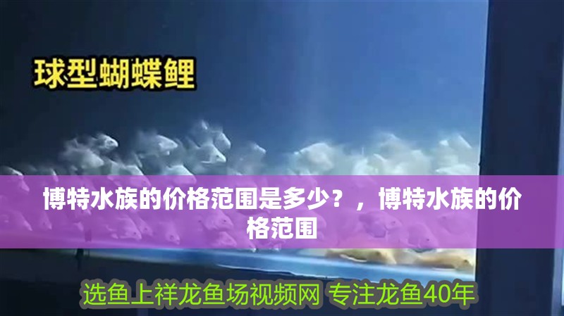 博特水族的價格范圍是多少？，博特水族的價格范圍
