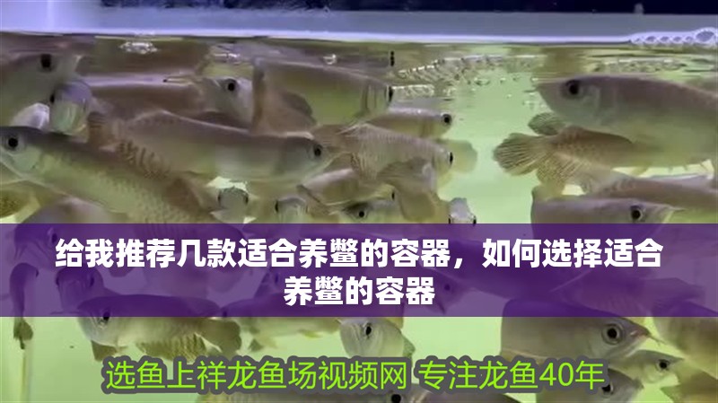 給我推薦幾款適合養鱉的容器，如何選擇適合養鱉的容器