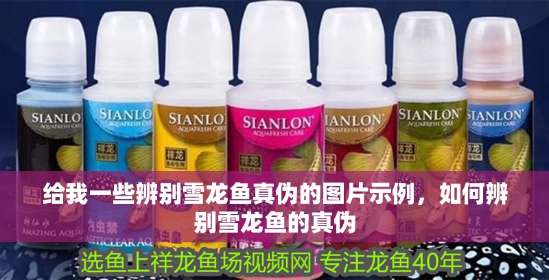 給我一些辨別雪龍魚真偽的圖片示例，如何辨別雪龍魚的真偽
