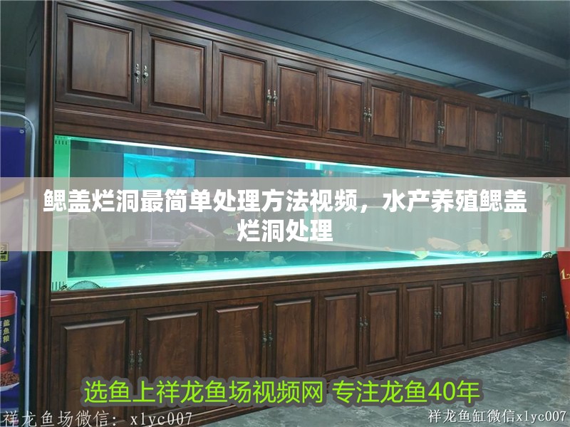 鰓蓋爛洞最簡單處理方法視頻，水產養殖鰓蓋爛洞處理