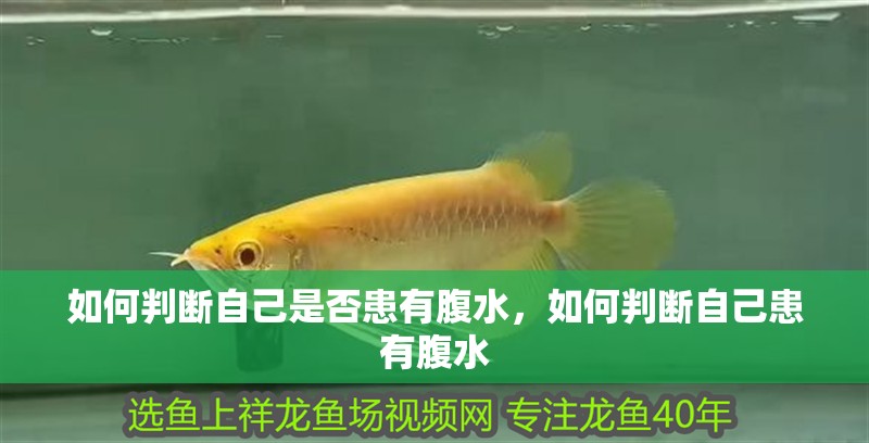 如何判斷自己是否患有腹水，如何判斷自己患有腹水