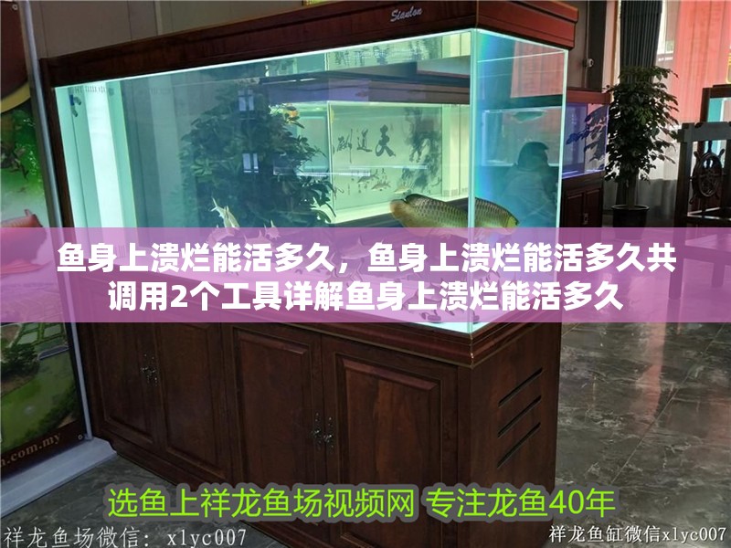 魚身上潰爛能活多久，魚身上潰爛能活多久共調用2個工具詳解魚身上潰爛能活多久