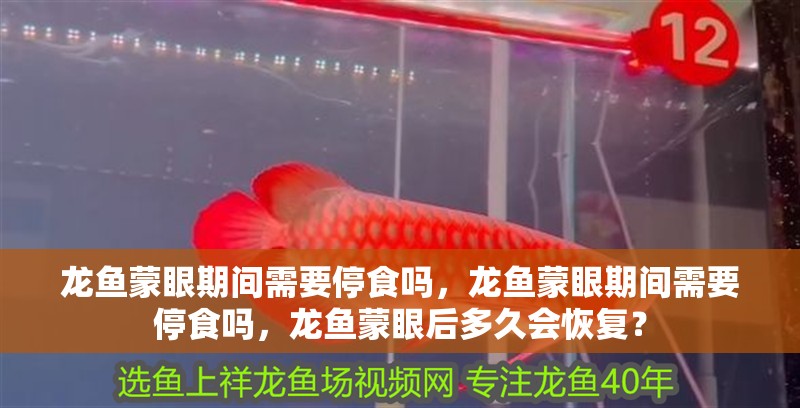 龍魚蒙眼期間需要停食嗎，龍魚蒙眼期間需要停食嗎，龍魚蒙眼后多久會恢復？