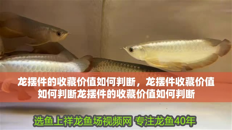 龍擺件的收藏價值如何判斷，龍擺件收藏價值如何判斷龍擺件的收藏價值如何判斷