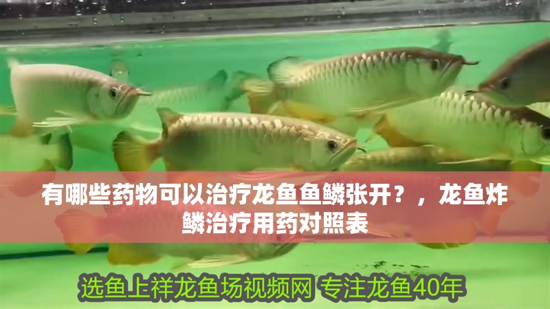 有哪些藥物可以治療龍魚魚鱗張開？，龍魚炸鱗治療用藥對照表