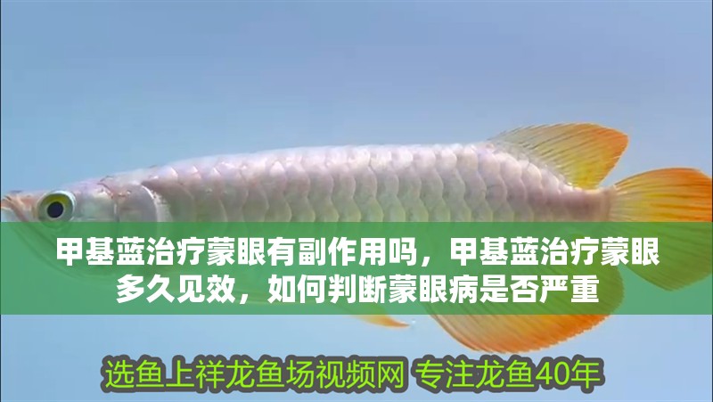 甲基藍治療蒙眼有副作用嗎，甲基藍治療蒙眼多久見效，如何判斷蒙眼病是否嚴(yán)重