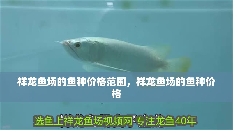 祥龍魚場的魚種價格范圍，祥龍魚場的魚種價格