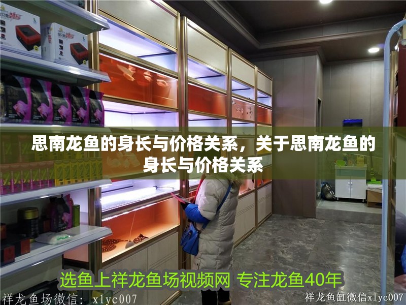 思南龍魚的身長與價格關系，關于思南龍魚的身長與價格關系