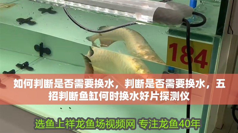 如何判斷是否需要換水，判斷是否需要換水，五招判斷魚缸何時換水好片探測儀