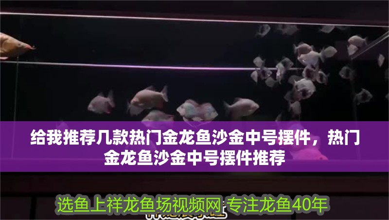 給我推薦幾款熱門金龍魚沙金中號擺件，熱門金龍魚沙金中號擺件推薦