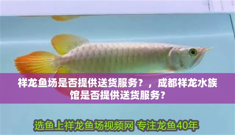 祥龍魚場(chǎng)是否提供送貨服務(wù)？，成都祥龍水族館是否提供送貨服務(wù)？