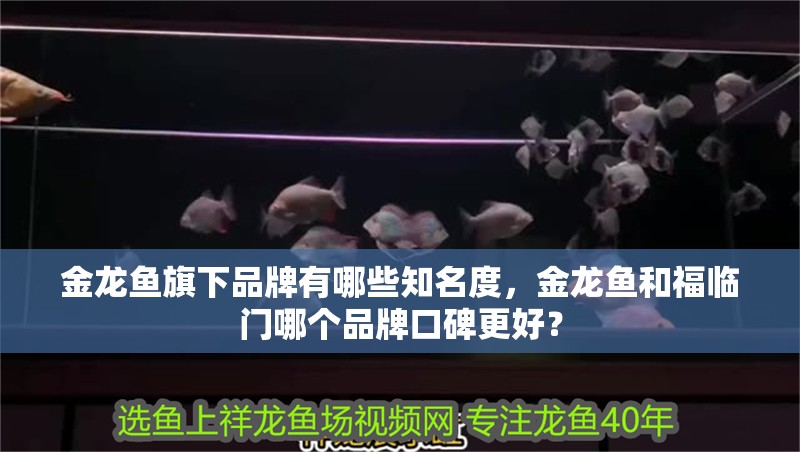 金龍魚旗下品牌有哪些知名度，金龍魚和福臨門哪個品牌口碑更好？