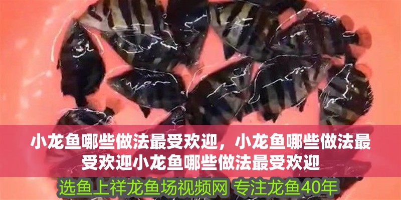 小龍魚哪些做法最受歡迎，小龍魚哪些做法最受歡迎小龍魚哪些做法最受歡迎