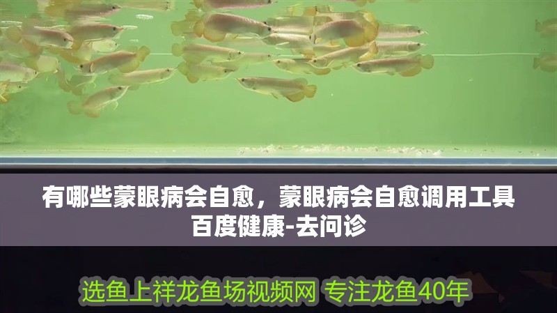 有哪些蒙眼病會自愈，蒙眼病會自愈調用工具百度健康-去問診