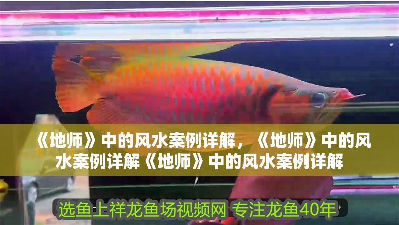 《地師》中的風水案例詳解，《地師》中的風水案例詳解《地師》中的風水案例詳解