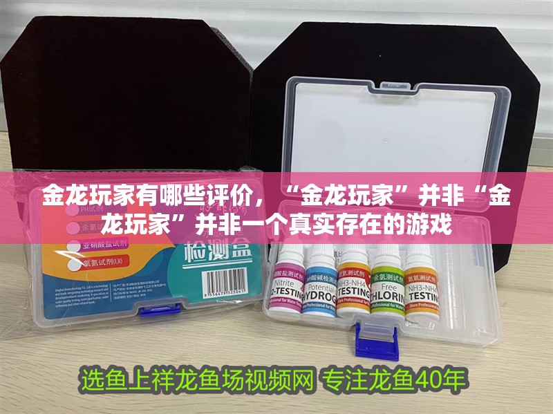 金龍玩家有哪些評價，“金龍玩家”并非“金龍玩家”并非一個真實存在的游戲