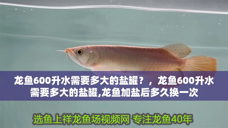 龍魚600升水需要多大的鹽罐？，龍魚600升水需要多大的鹽罐,龍魚加鹽后多久換一次