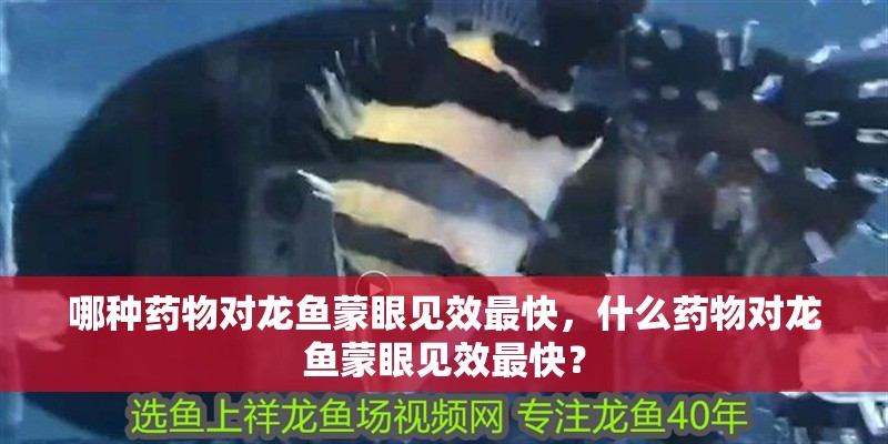 哪種藥物對龍魚蒙眼見效最快，什么藥物對龍魚蒙眼見效最快？