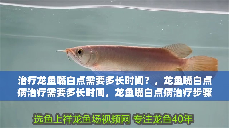 治療龍魚嘴白點需要多長時間？，龍魚嘴白點病治療需要多長時間，龍魚嘴白點病治療步驟