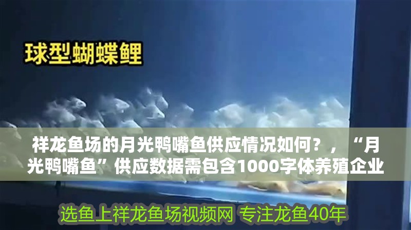 祥龍魚場的月光鴨嘴魚供應情況如何？，“月光鴨嘴魚”供應數(shù)據(jù)需包含1000字體養(yǎng)殖企業(yè)