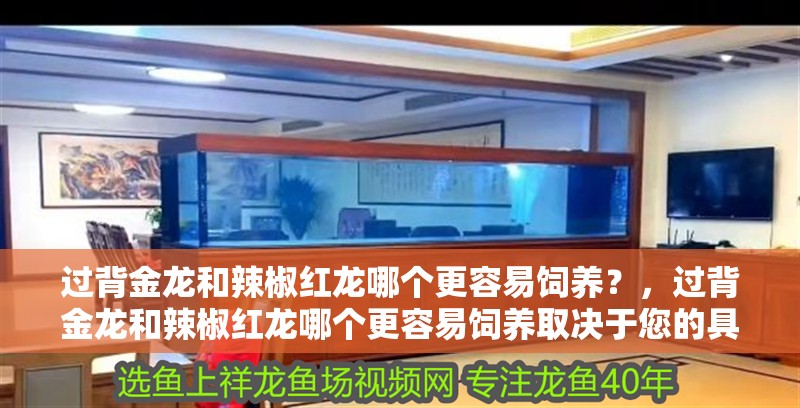 過背金龍和辣椒紅龍哪個更容易飼養(yǎng)？，過背金龍和辣椒紅龍哪個更容易飼養(yǎng)取決于您的具體條件和偏好