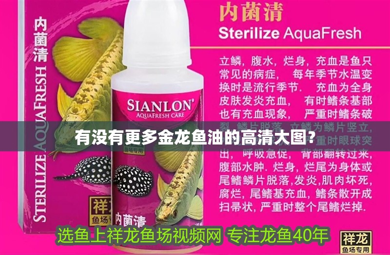 有沒有更多金龍魚油的高清大圖？