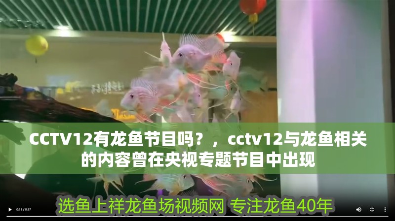 CCTV12有龍魚節目嗎？，cctv12與龍魚相關的內容曾在央視專題節目中出現
