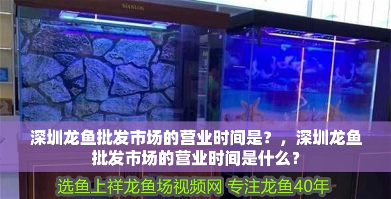深圳龍魚批發市場的營業時間是？，深圳龍魚批發市場的營業時間是什么？