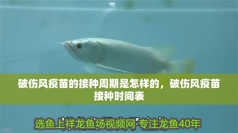破傷風疫苗的接種周期是怎樣的，破傷風疫苗接種時間表