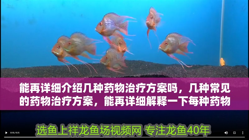能再詳細介紹幾種藥物治療方案嗎，幾種常見的藥物治療方案，能再詳細解釋一下每種藥物治療方案嗎
