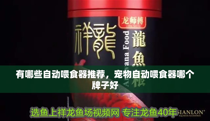 有哪些自動喂食器推薦，寵物自動喂食器哪個牌子好