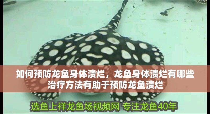 如何預(yù)防龍魚身體潰爛，龍魚身體潰爛有哪些治療方法有助于預(yù)防龍魚潰爛